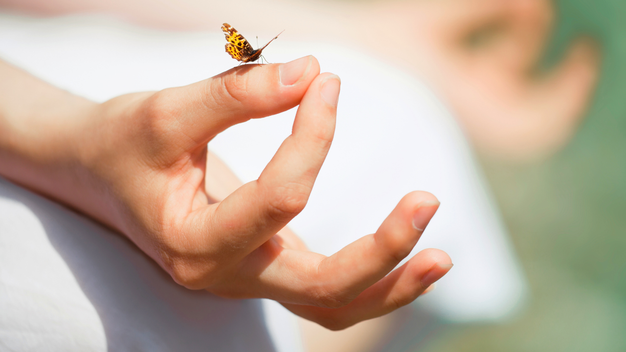 Meditazione Olistica Bergamo